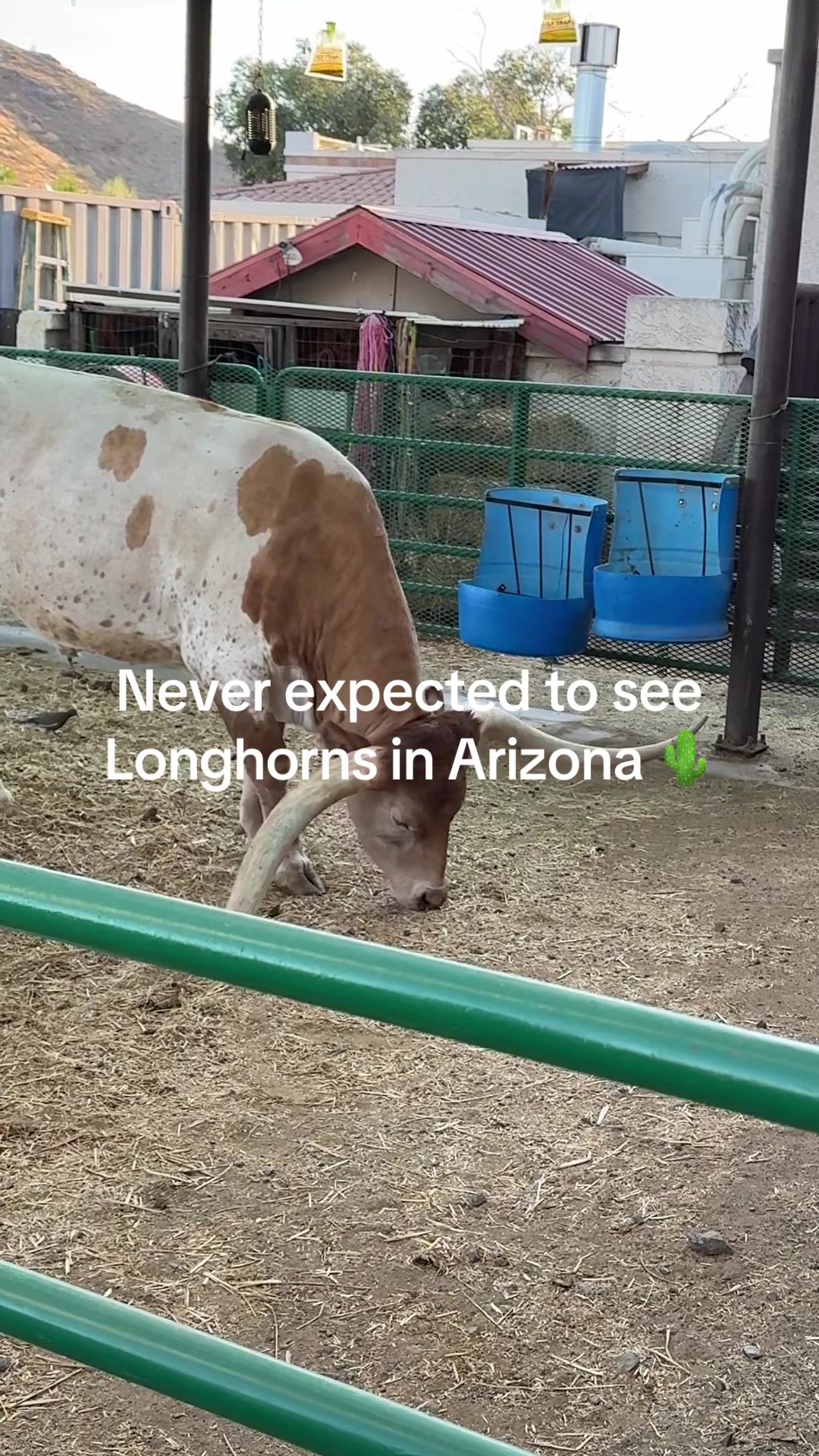 Iconic Arizona Steakhouse Offers Mountain Views