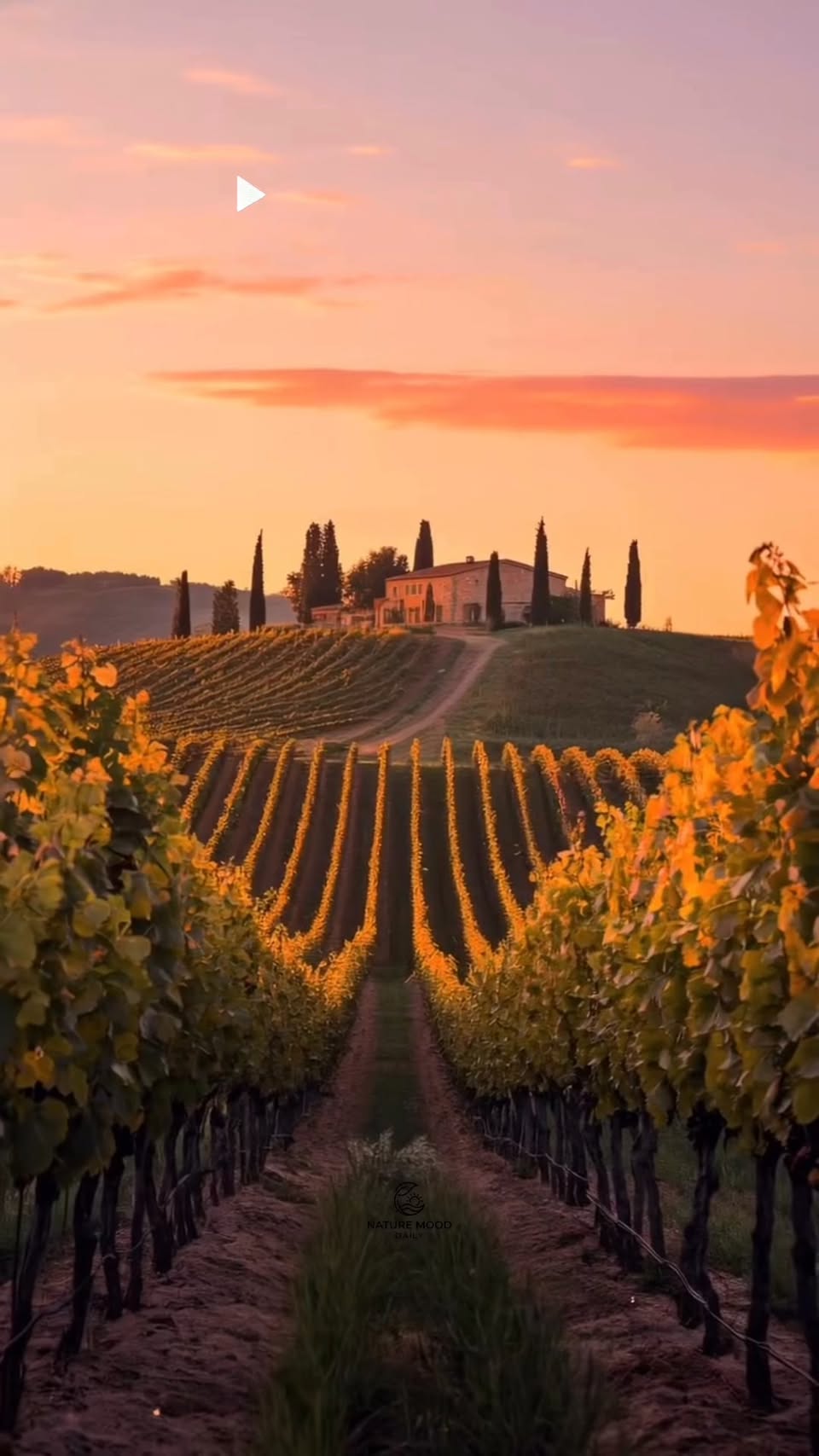 Tuscan Escapes: Podere Val D'Orcia Resort