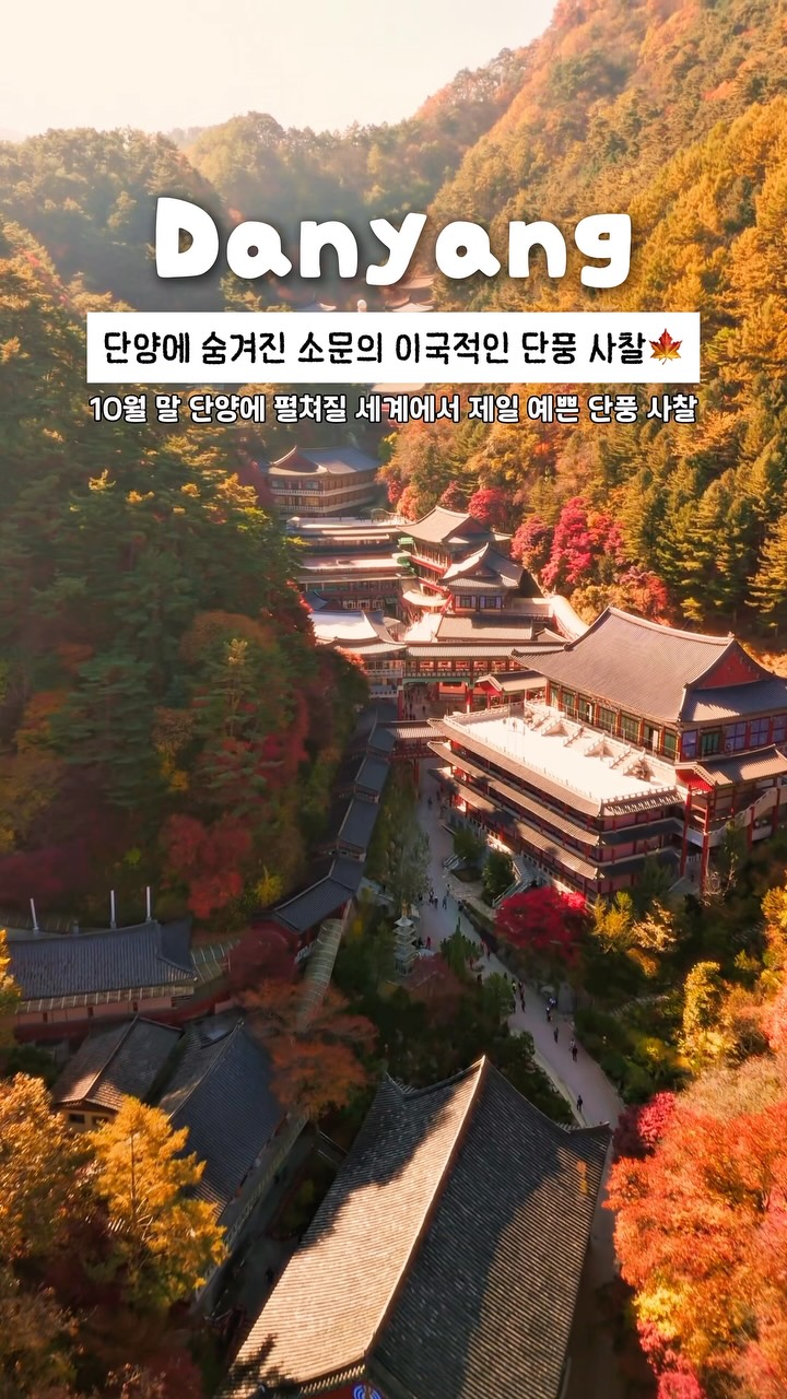Guinsa Temple: A Prime Autumn Foliage Destination