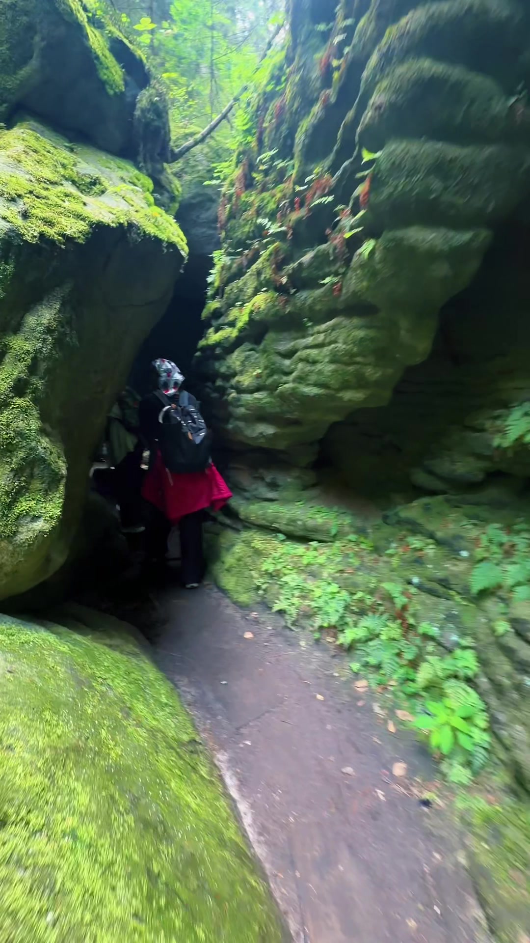 Hiking Adventures at Elbe River and Bastei Bridge