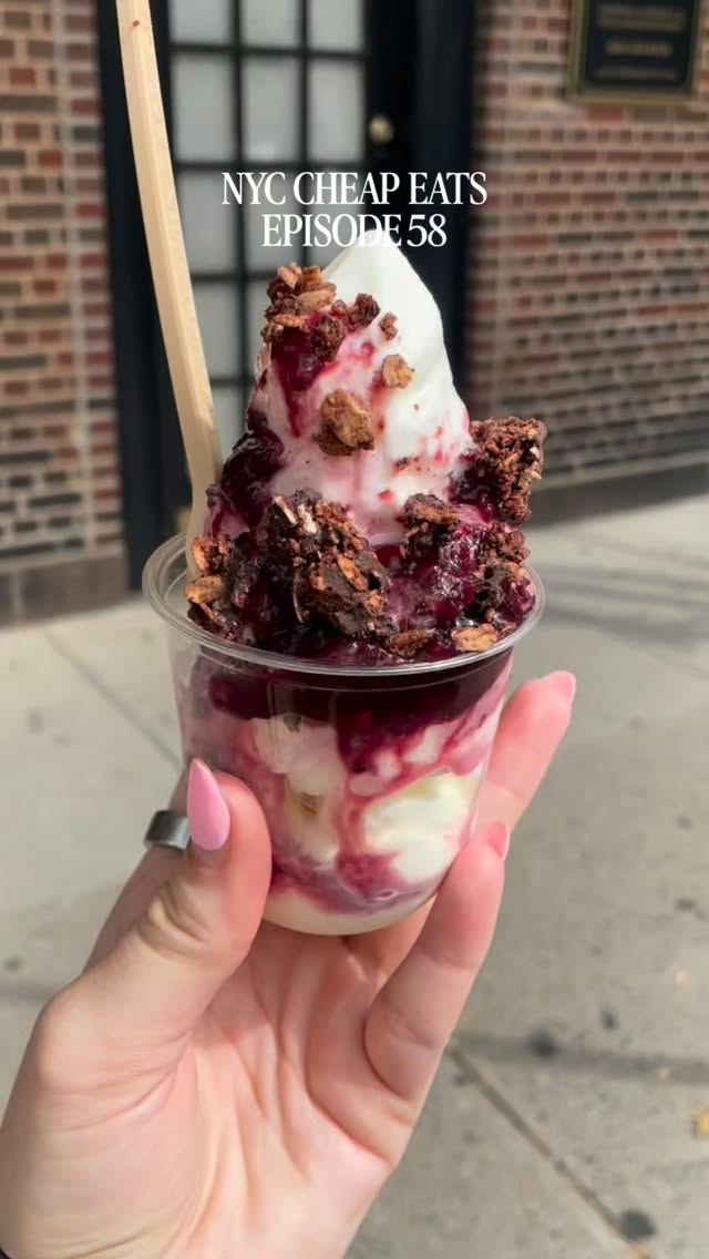 Noa Bakery's Frozen Yogurt Dessert