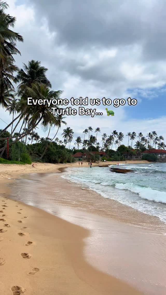Sri Lanka's Tranquil Beaches For Swimming With Turtles