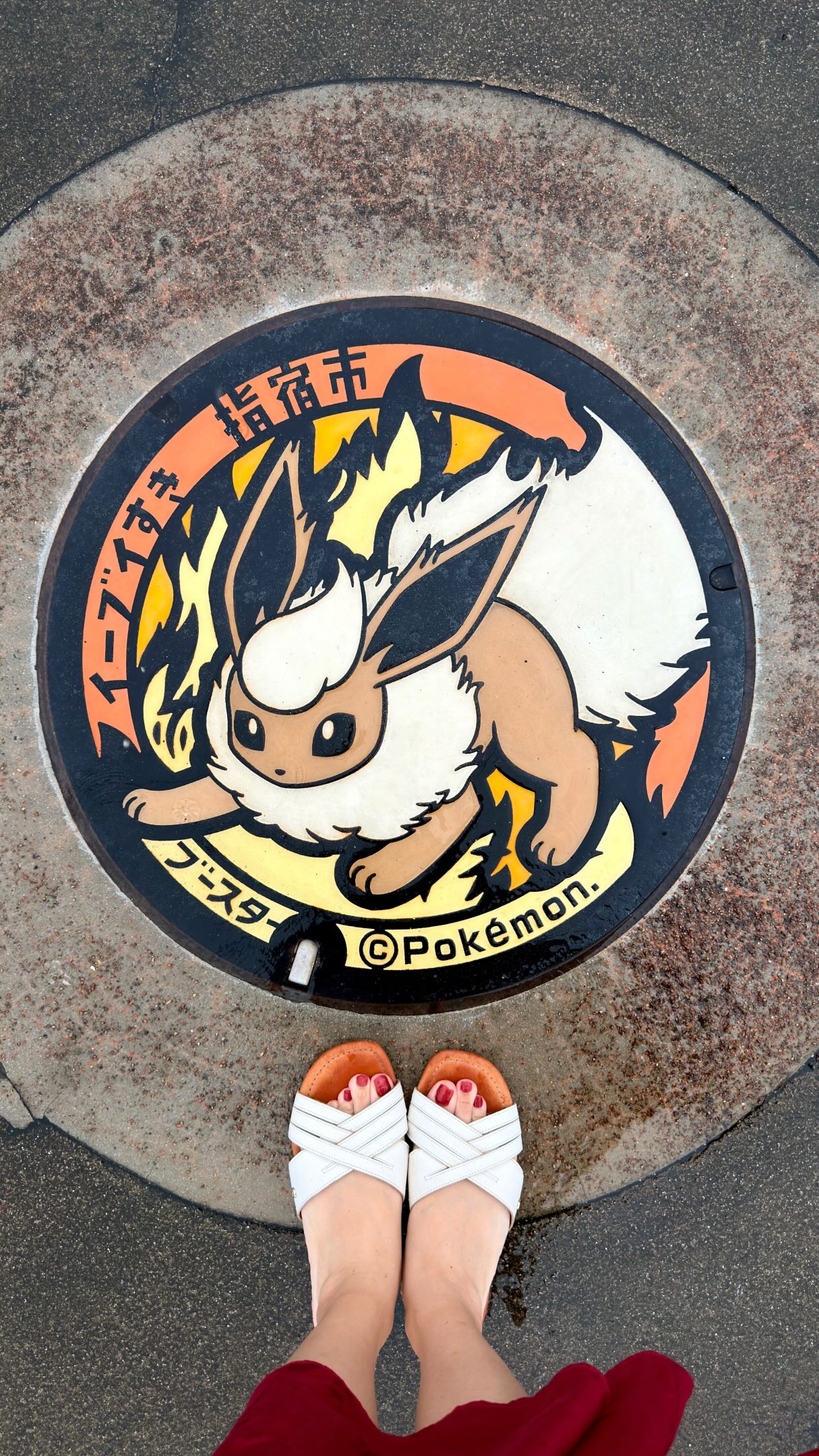 Ibusuki City's Eevee Pokémon Manhole Covers