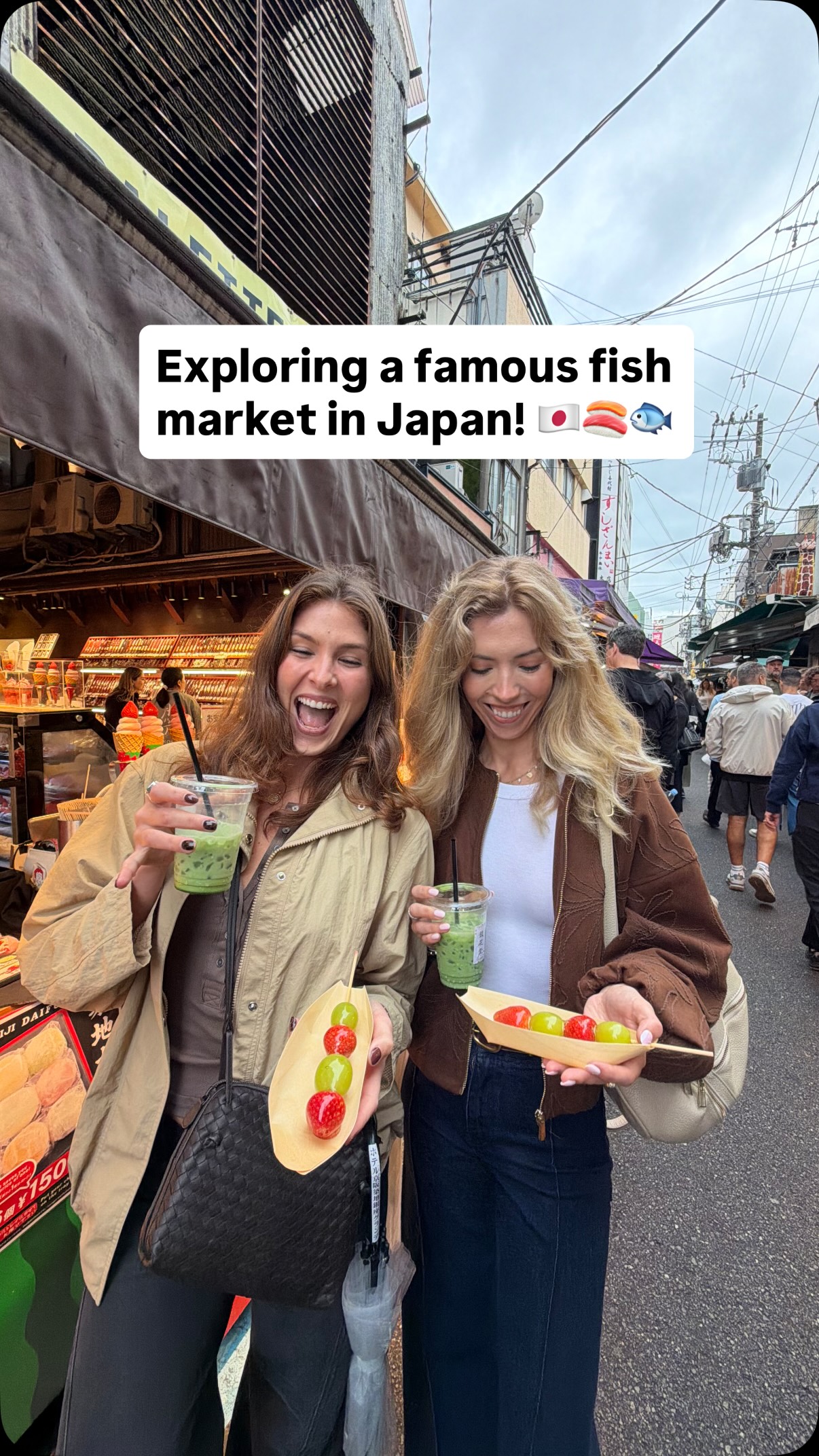 Tokyo's Tsukiji Market: A Culinary Journey