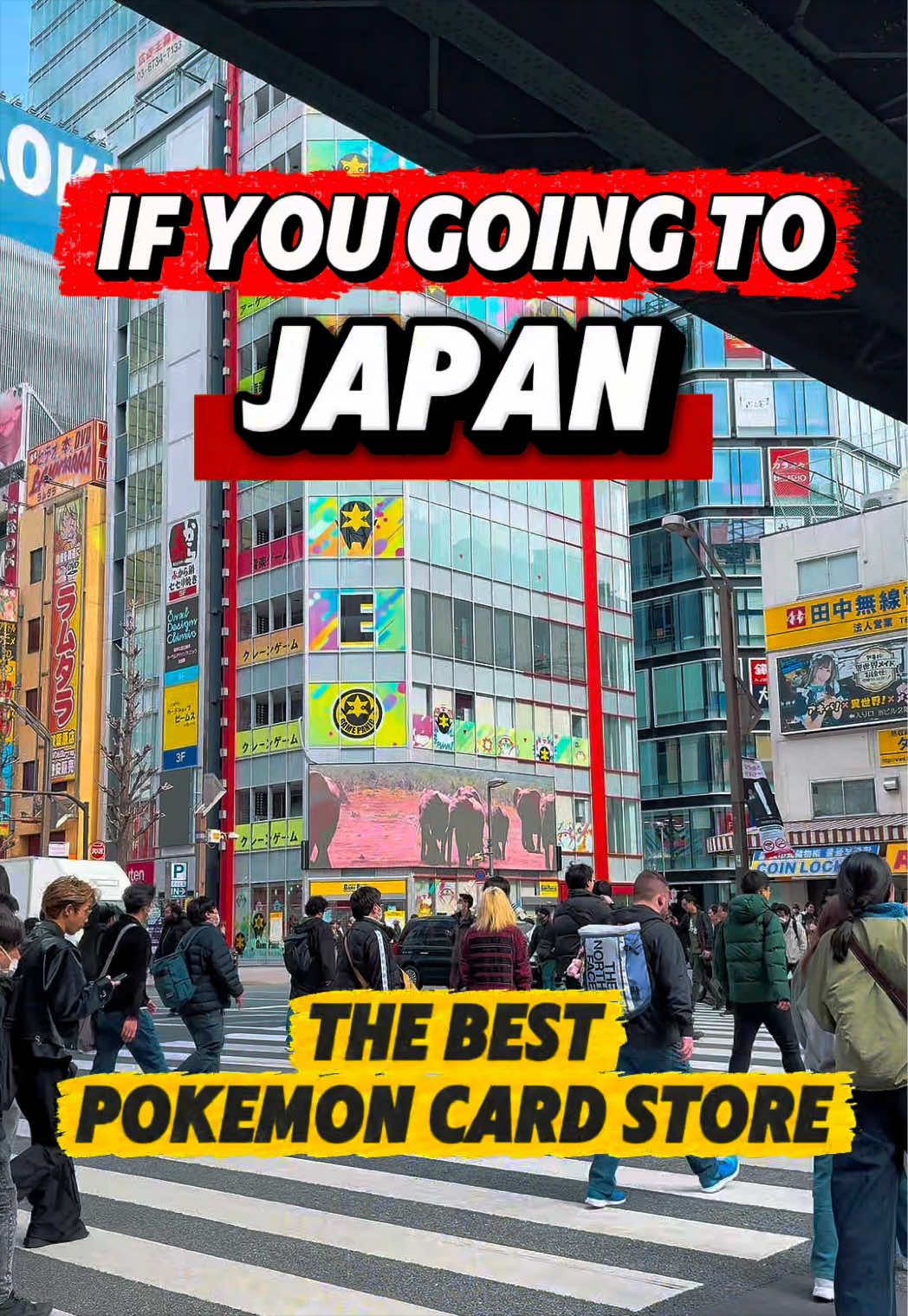 Tokyo Shops For Affordable Pokemon Cards