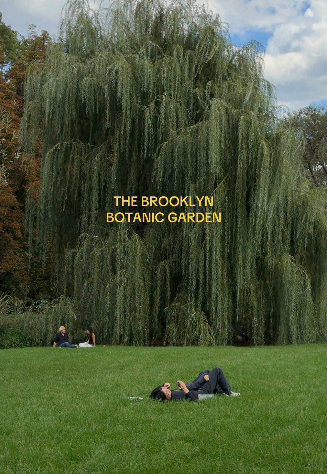 Brooklyn Botanic Garden's Seasonal Splendor