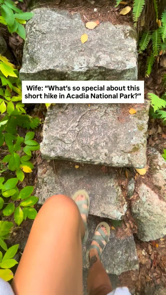 Acadia National Park's Enchanting Trails and Gardens
