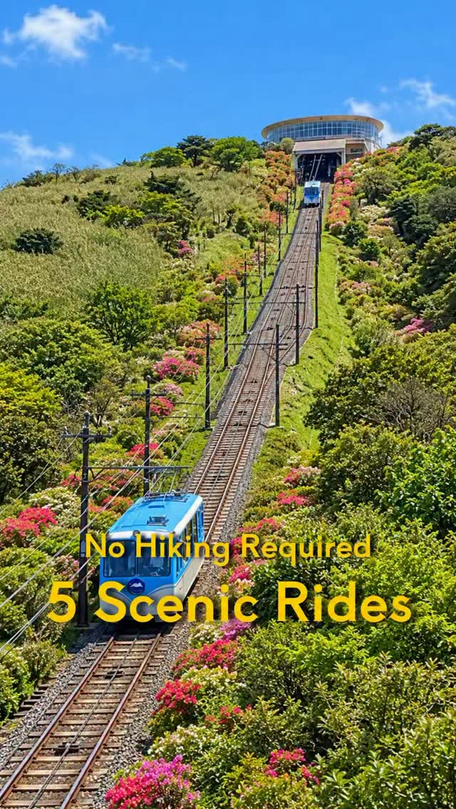 Izu Peninsula's Scenic Rides And Views