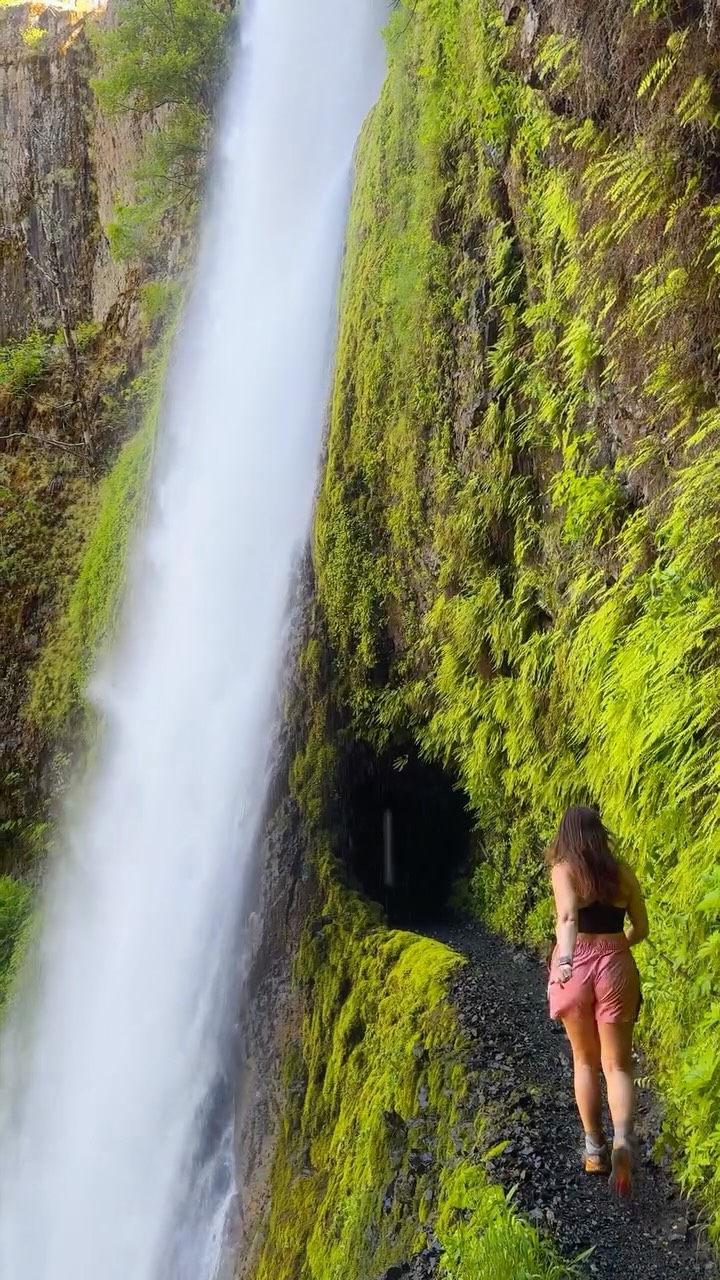 Tunnel Falls Hike In Columbia River Gorge