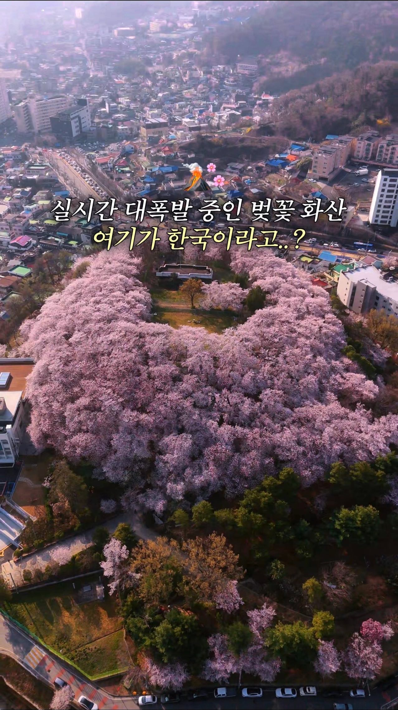 Daejeon Cherry Blossom Volcano and Bakery