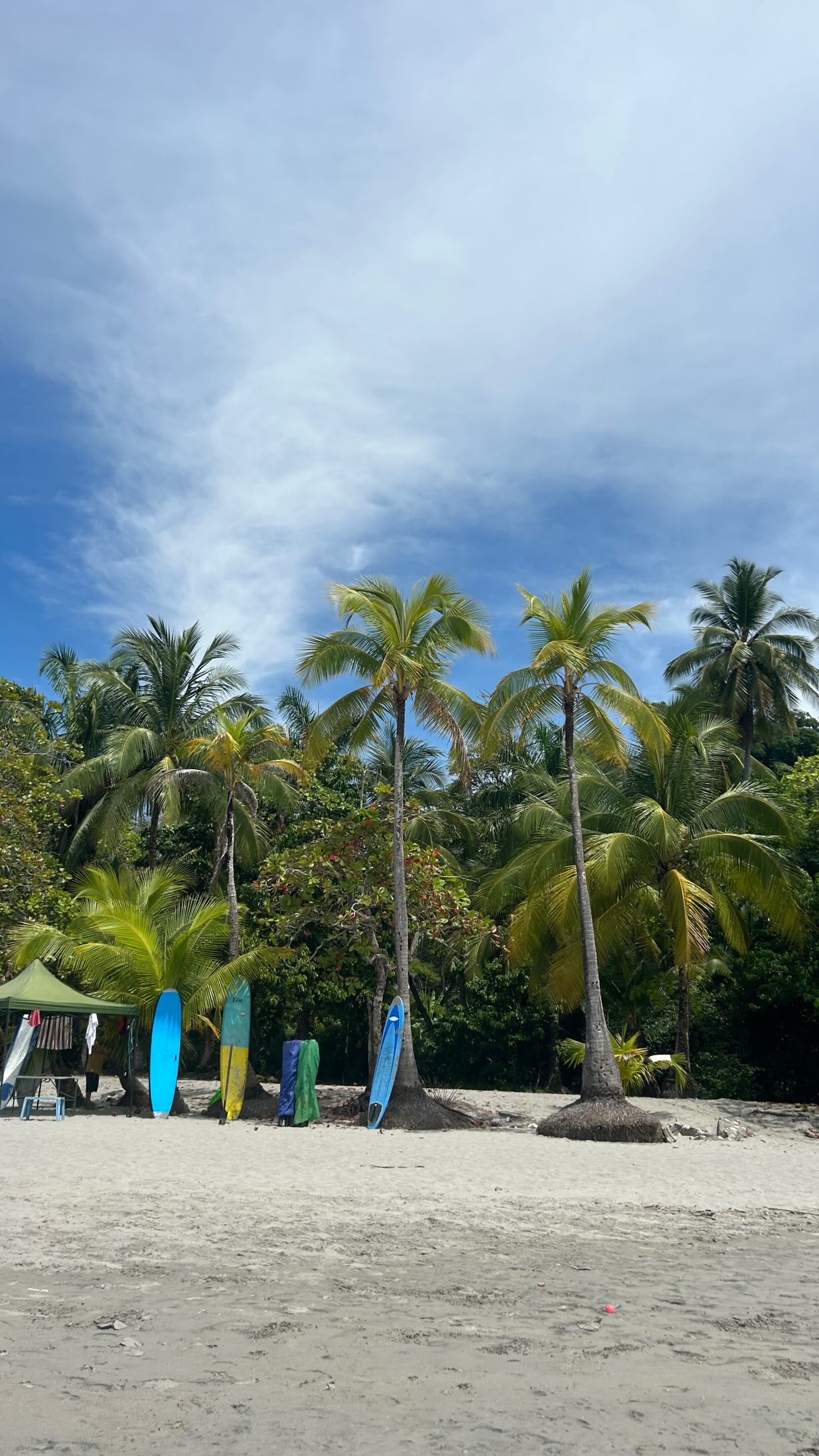 Costa Rica Adventure And Relaxation