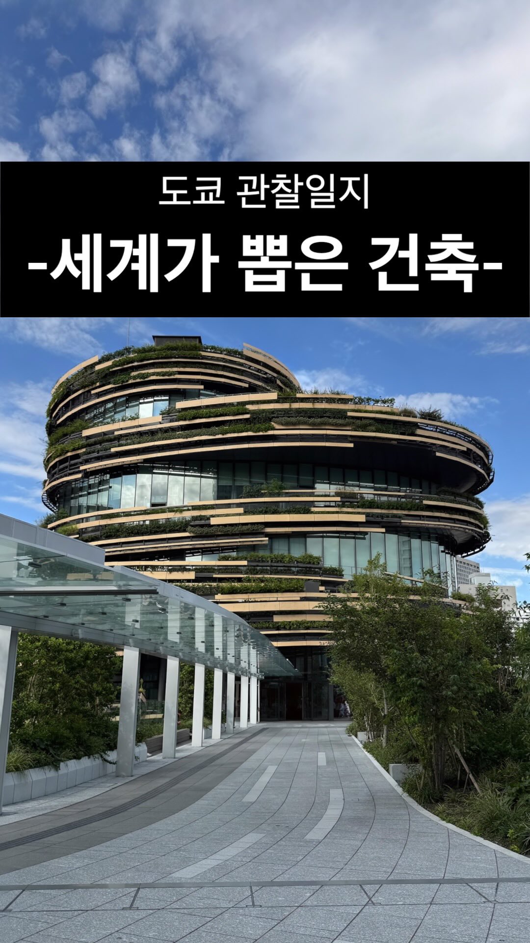 MoN Museum Tokyo: Immersive Exhibits and Architecture