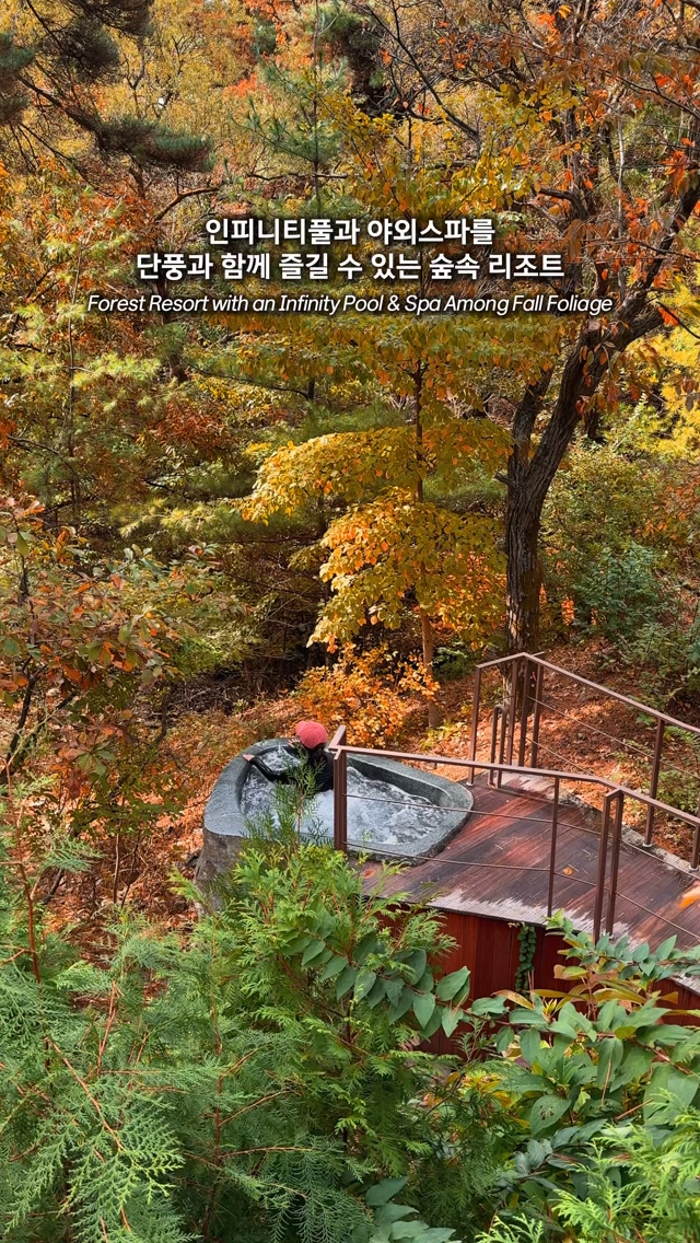 Forest Resort Offers Autumn Foliage Views and Spas