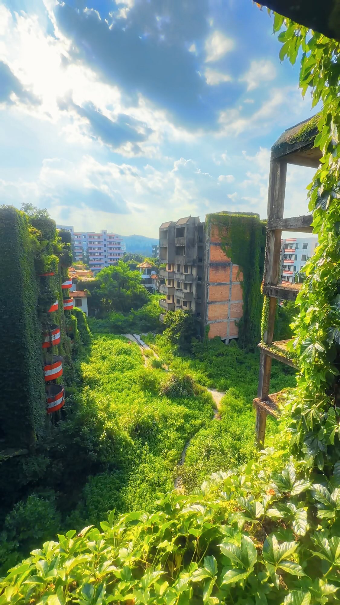 Abandoned Real Estate Reclaimed by Nature in Guang'ao
