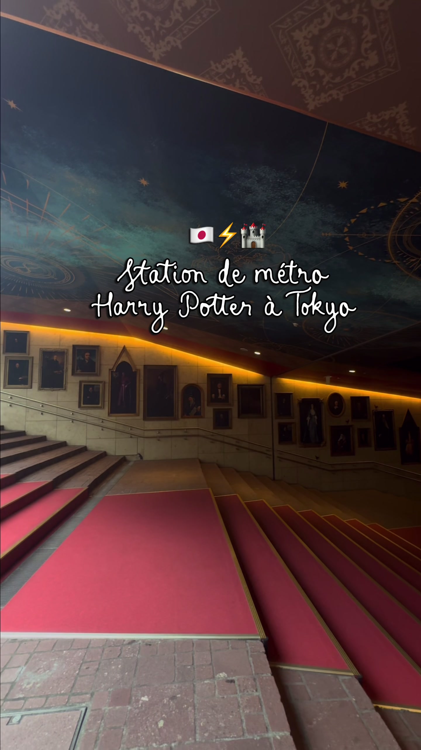 Tokyo's Harry Potter Themed Akasaka Station