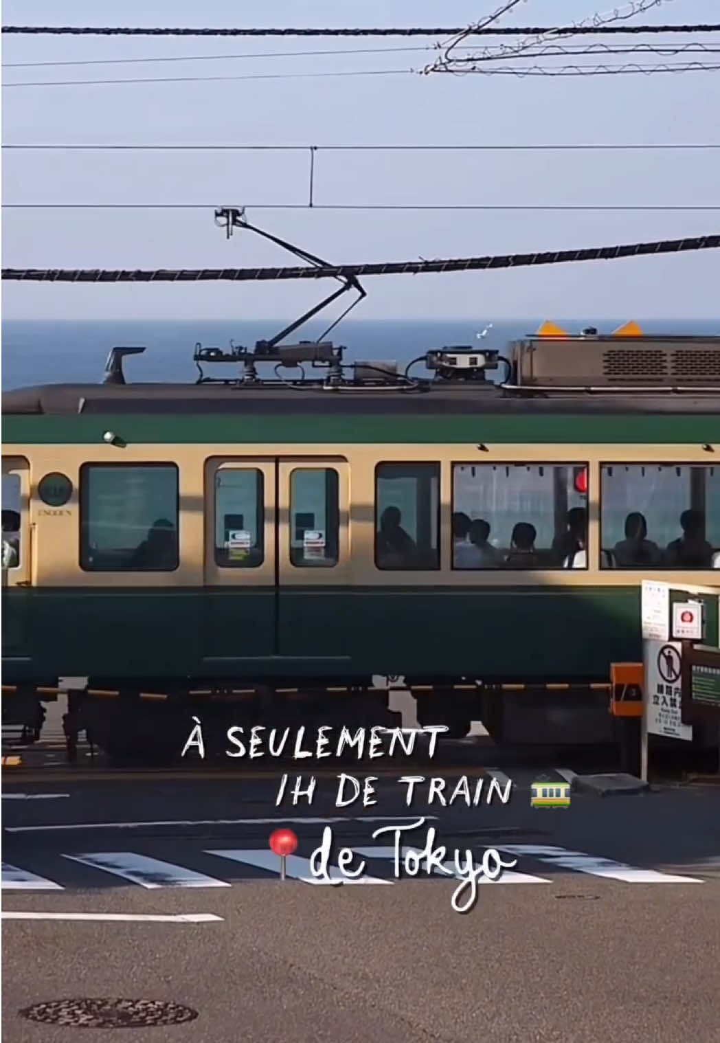 Kamakura's Temples, Trails, and Tasty Treats