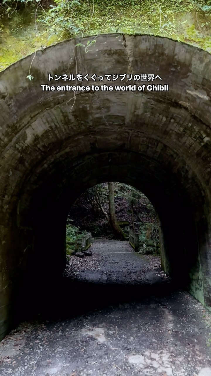 Minoo Falls: Osaka's Natural Urban Escape