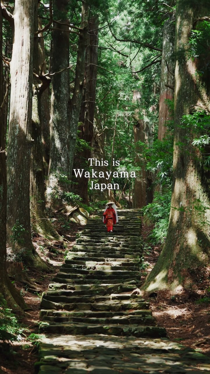 Kumano Kodo Trail's Natural and Cultural Wonders