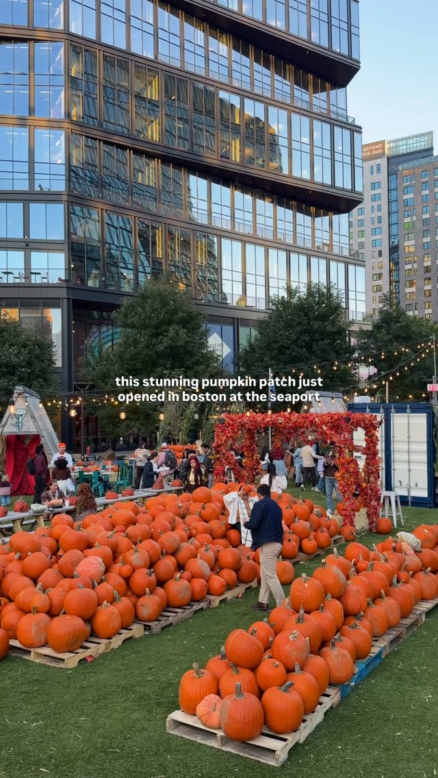 Island Creek Raw Bar Seaport Hosts Pumpkin Patch