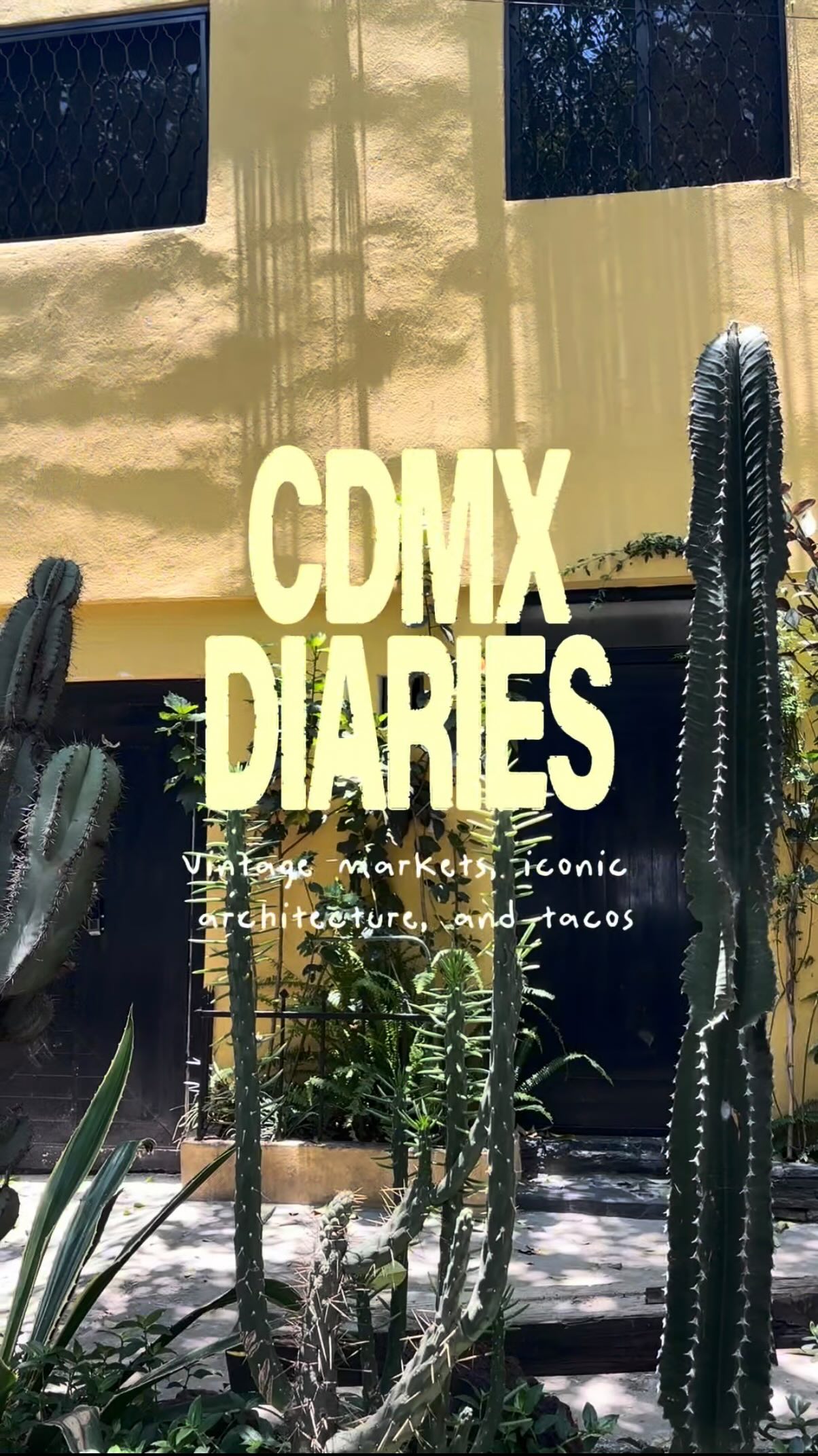 Explore Mexico City's Architecture, Markets, and Tacos