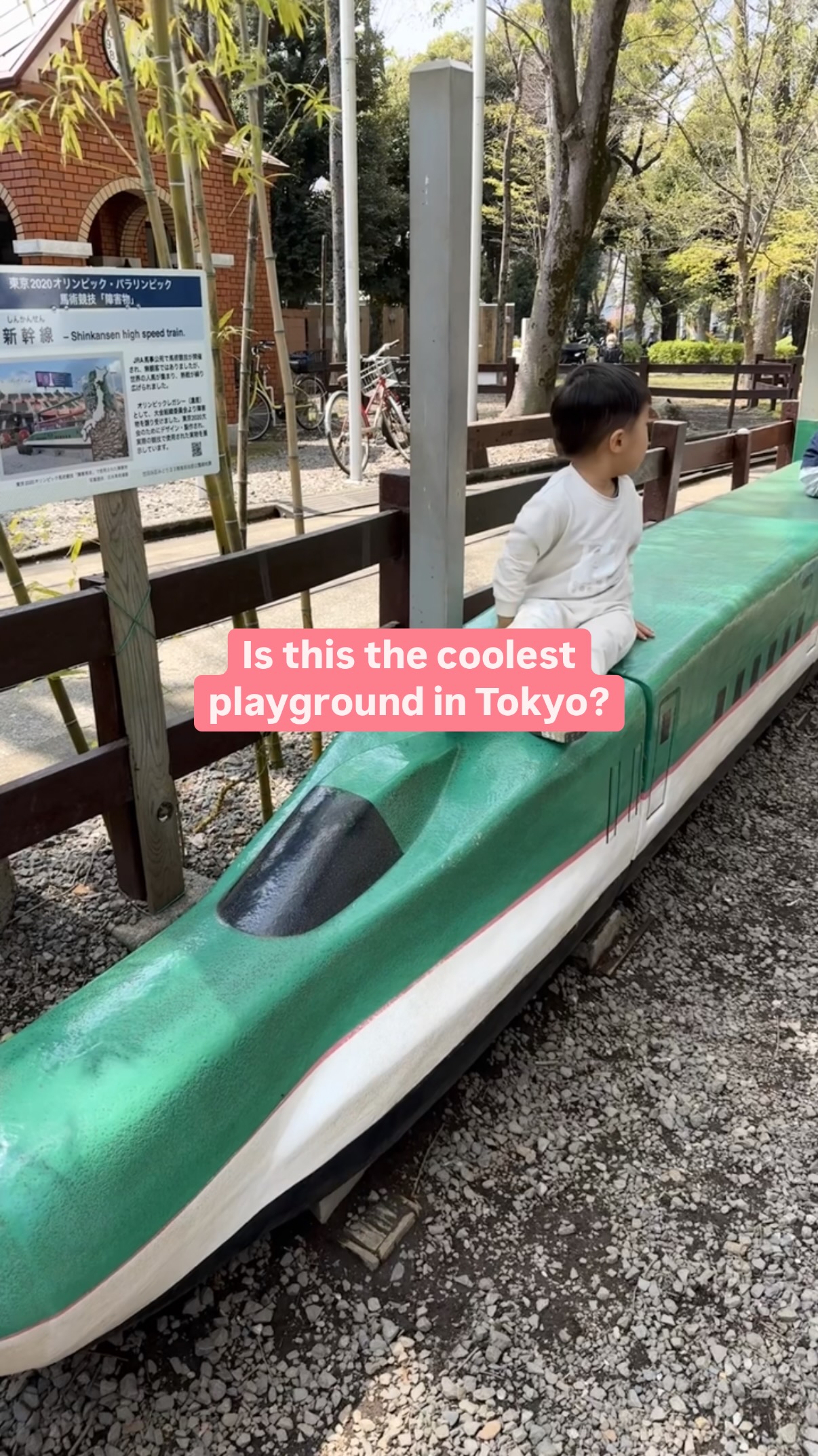 Family-Friendly Setagaya Park's Many Activities