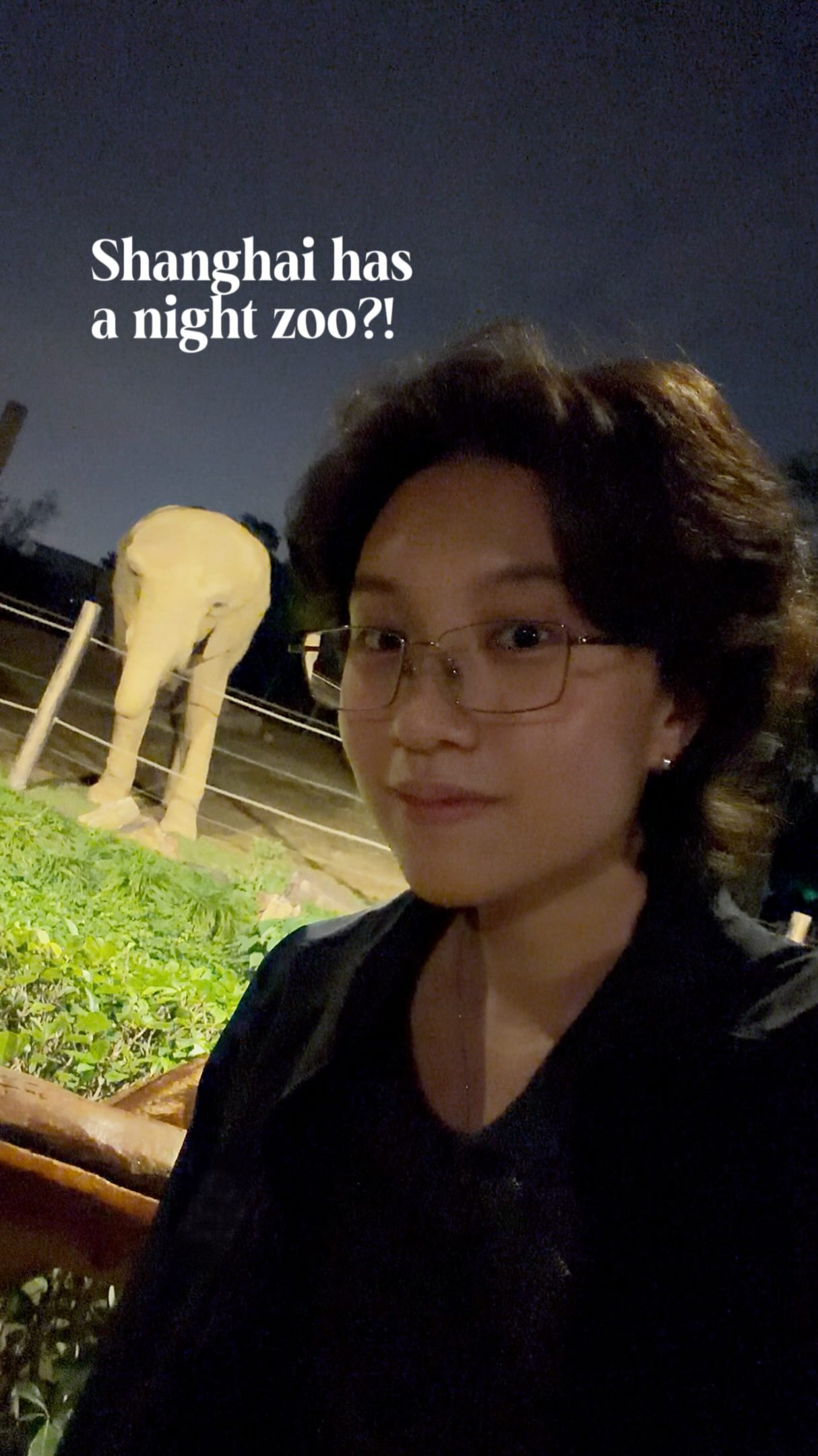 Nighttime Safari at Shanghai Wild Animal Park