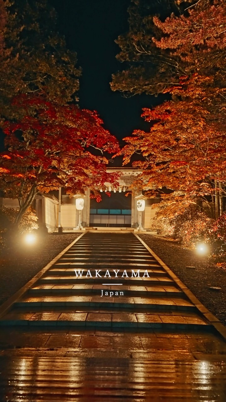 Kongobuji Temple's Autumn Night Beauty