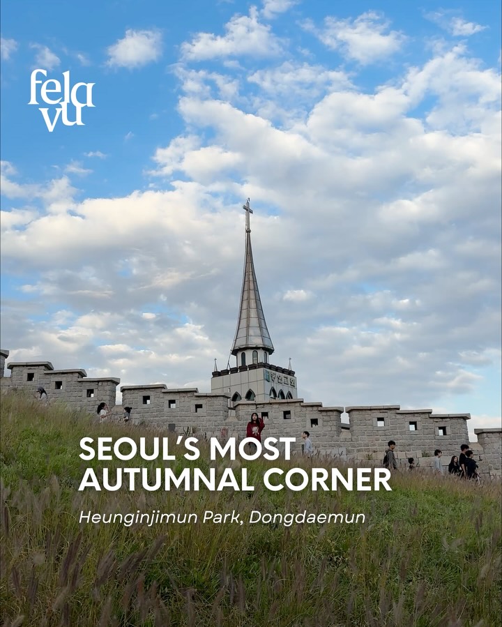 Seoul Autumn Parks With City Views