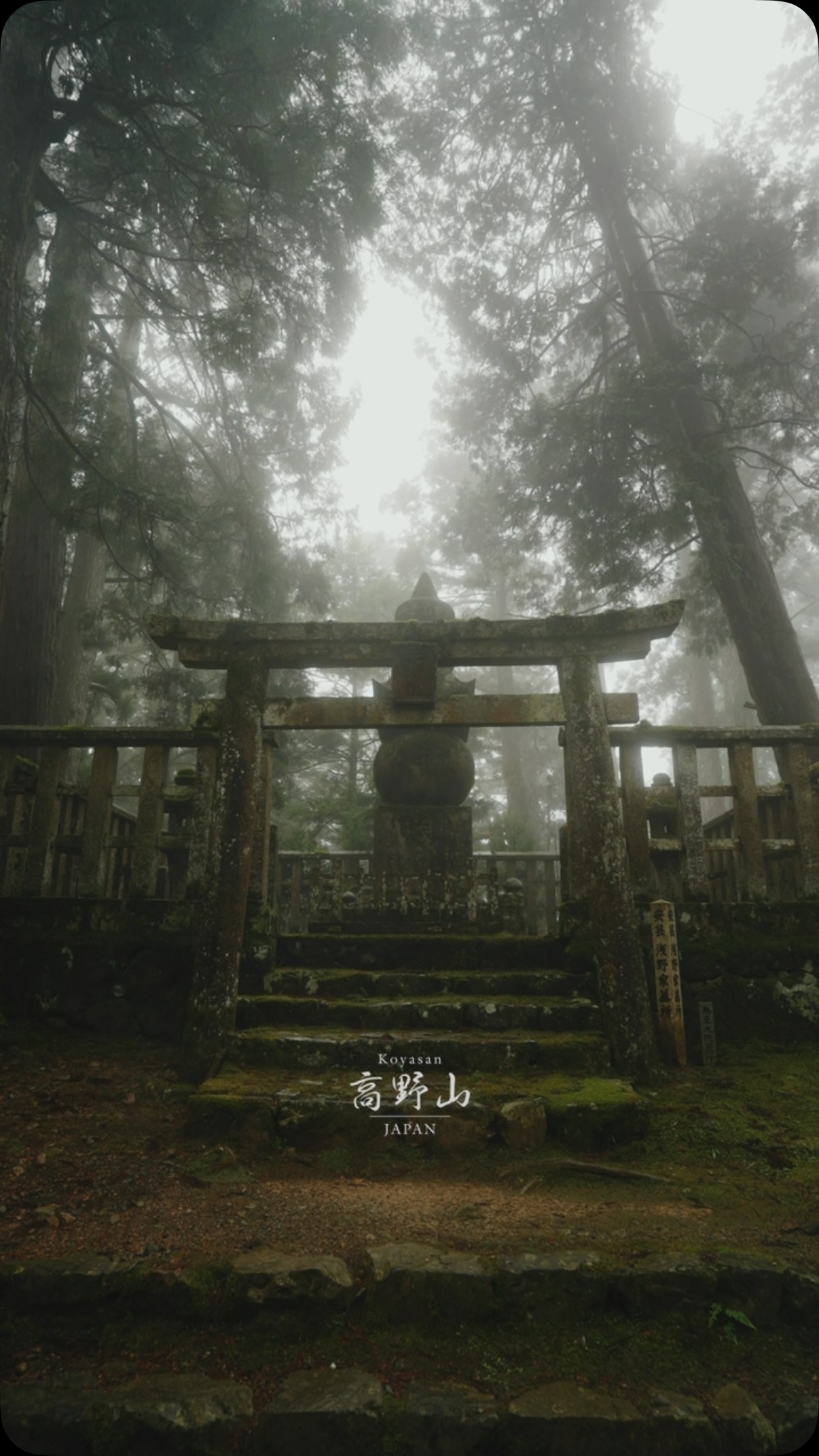 Koyasan's Misty Forests and Sacred Sites