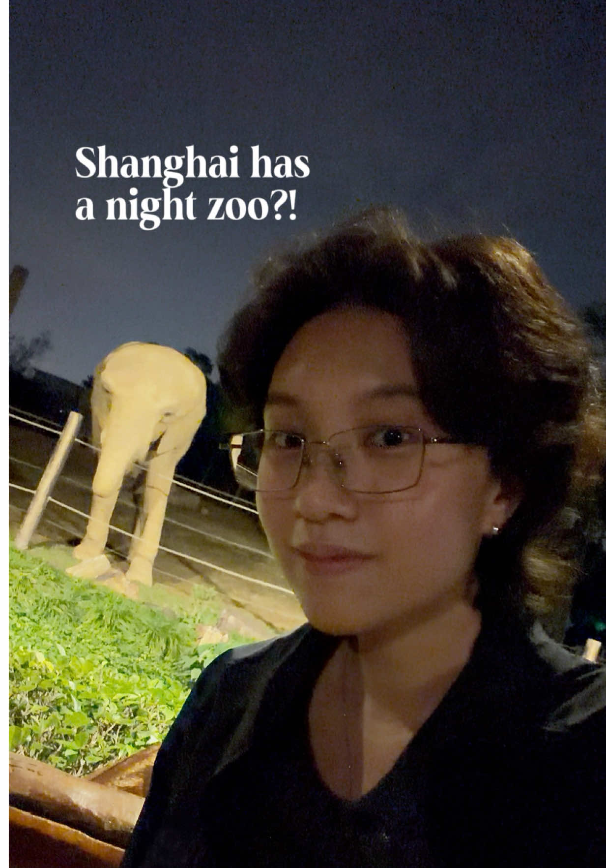 Shanghai Night Zoo Offers Unique Animal Encounters