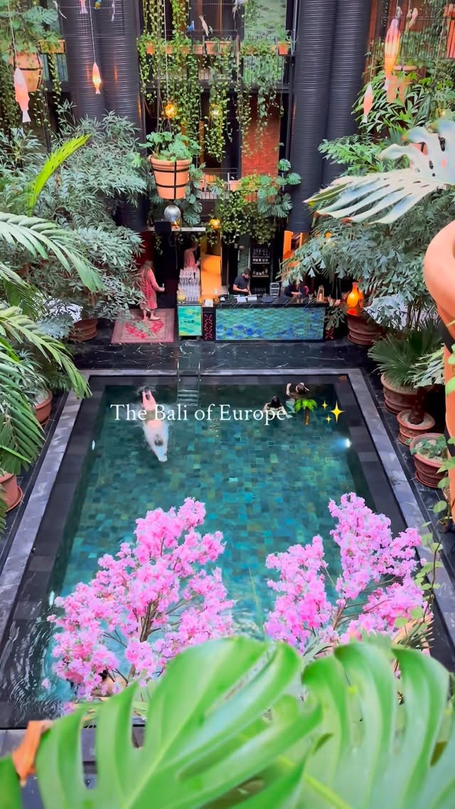 Copenhagen's Tropical Jungle Hotel Escape