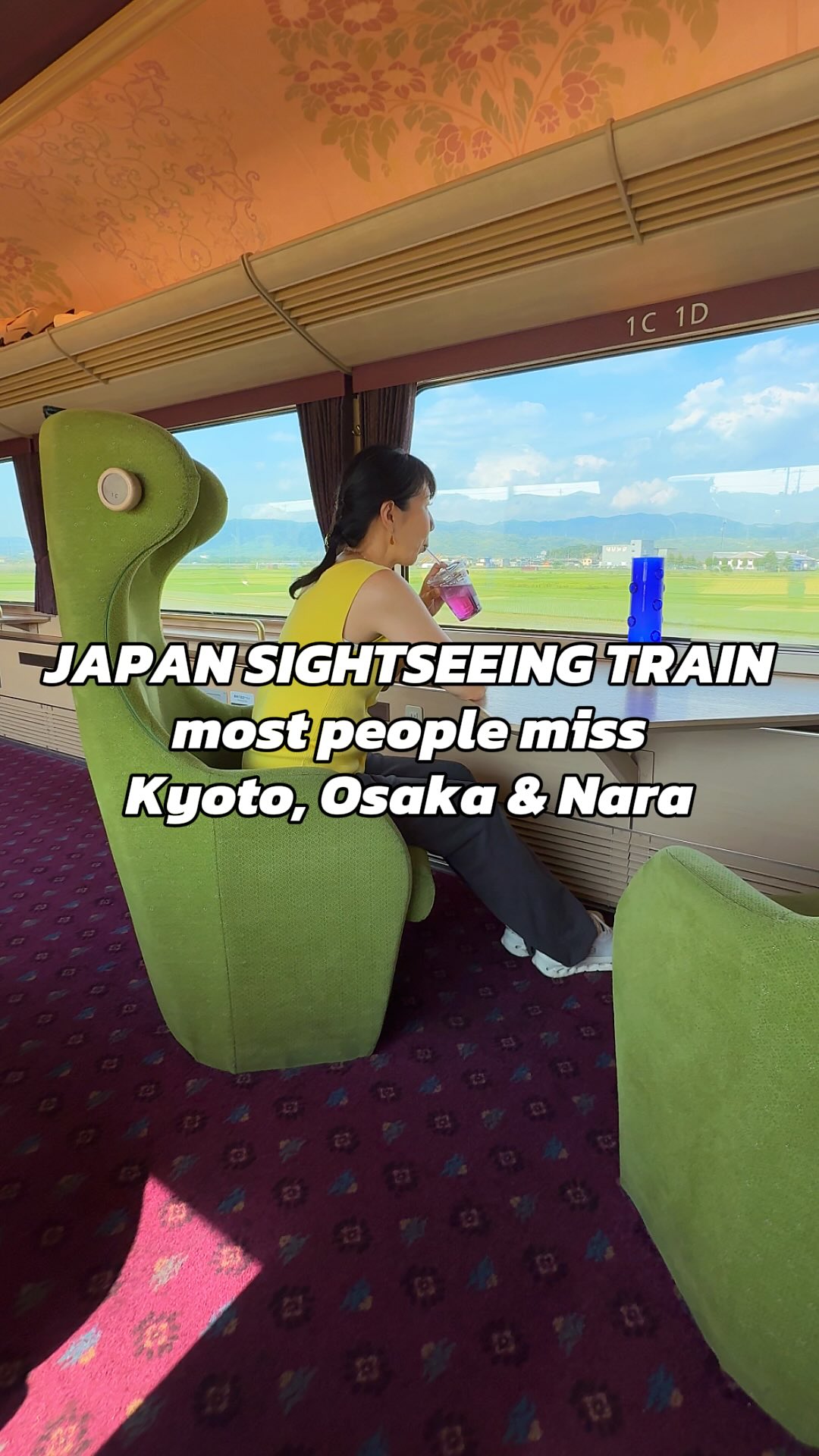 Kyoto, Nara, and Osaka Sightseeing by Train