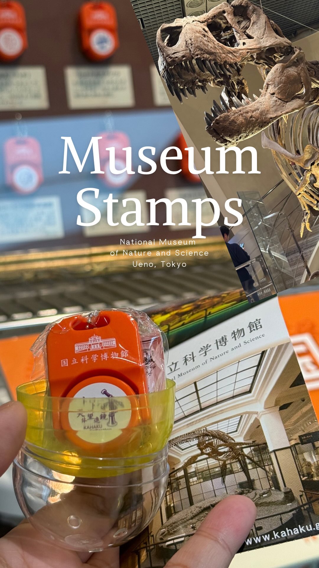 National Museum of Nature and Science Stamp Gacha