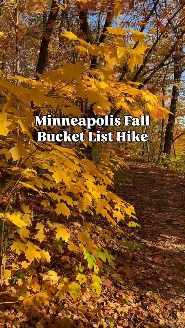 Winchell Trail Offers Rustic Fall Hike