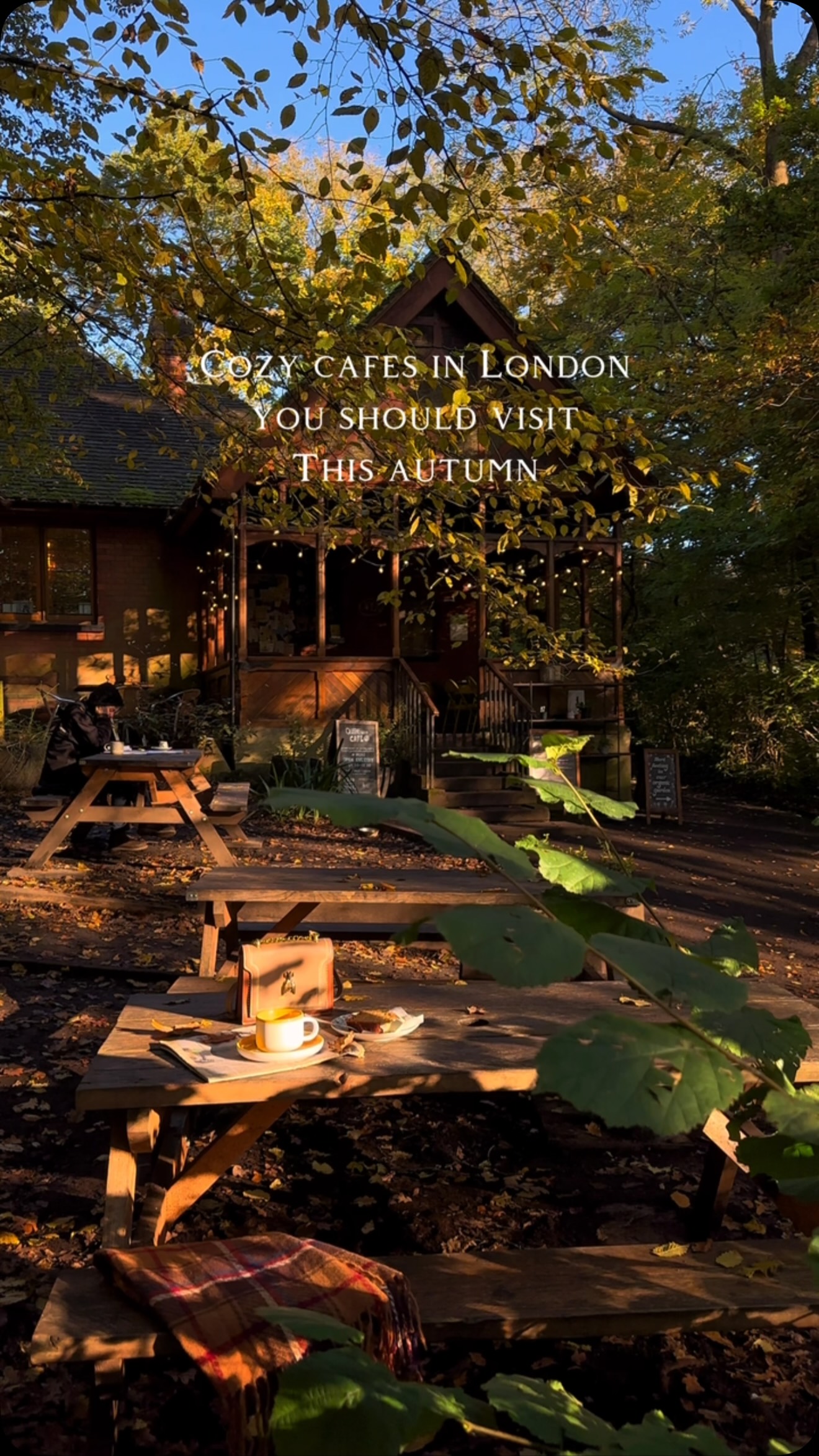 Laville, Queen's Wood, Townhouse, The Rex Delicatessen