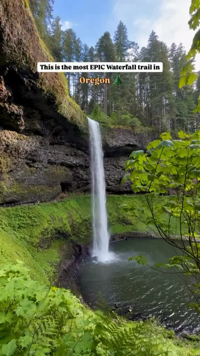 Oregon's Silver Falls State Park Waterfalls