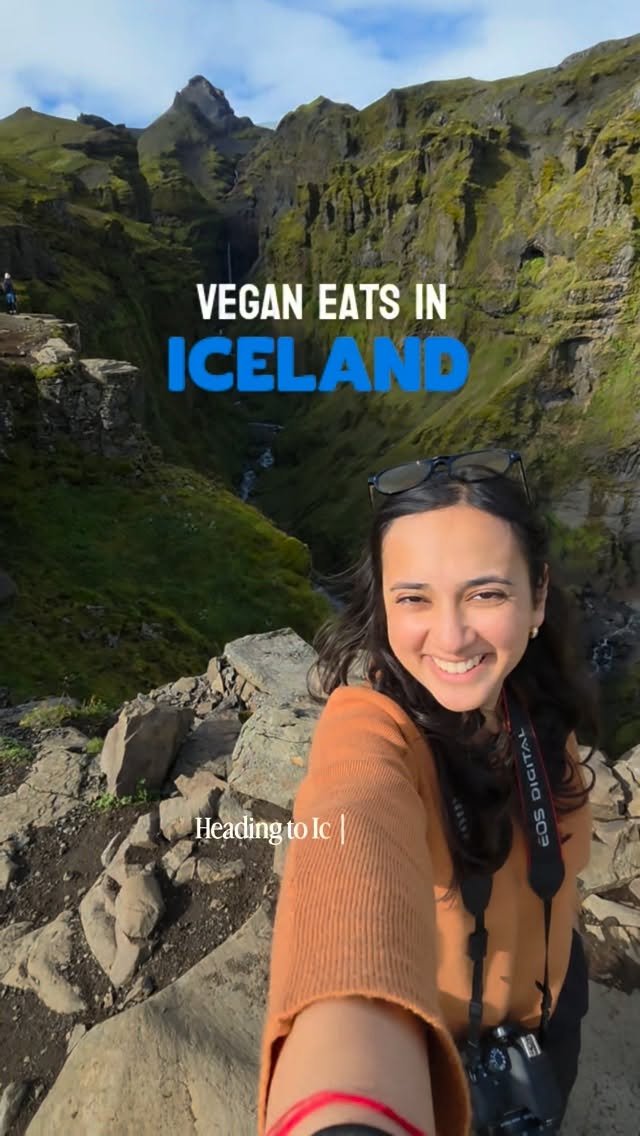 Icelandic Vegan Food Destinations