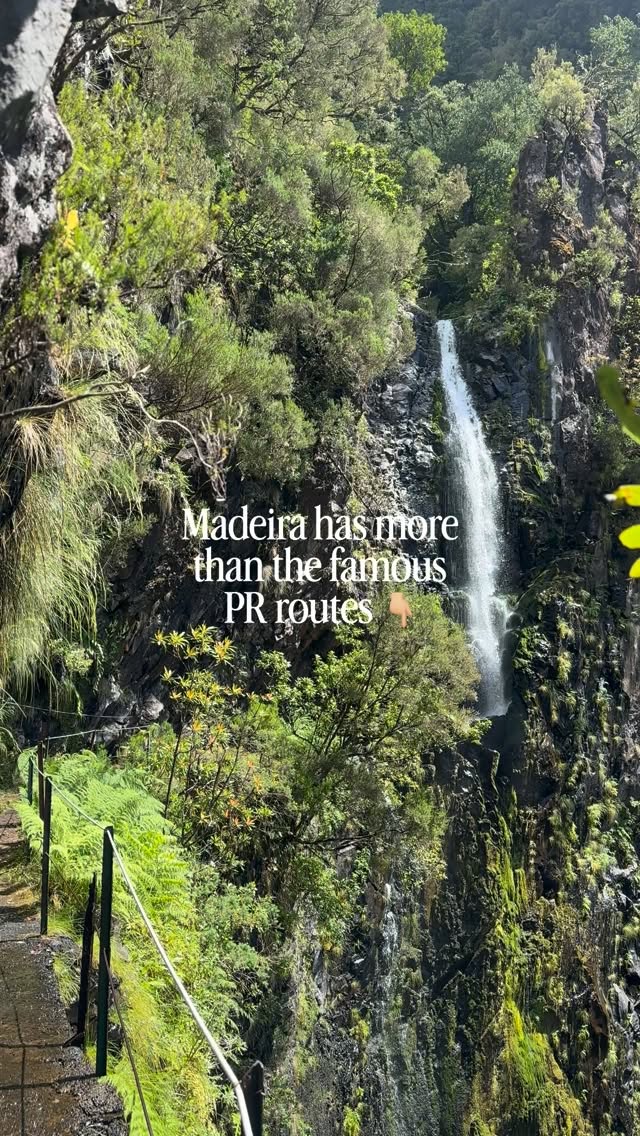 Madeira's Scenic Hiking Trails