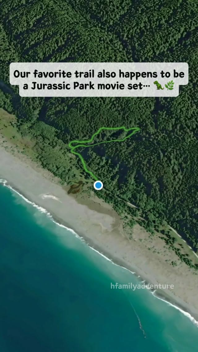Fern Canyon and Redwood Parks' Lush Beauty