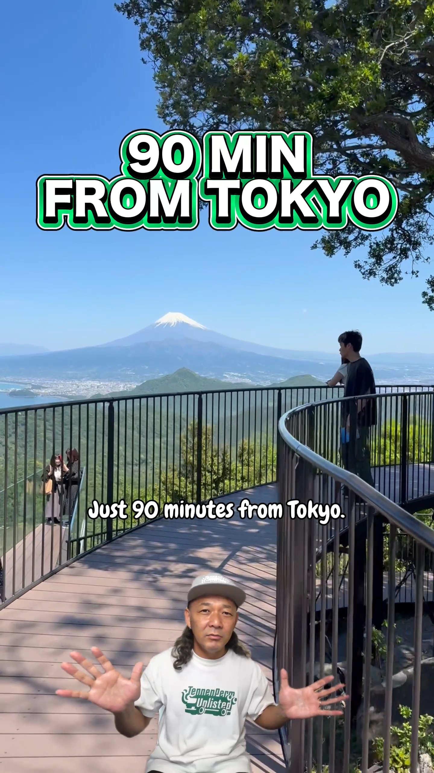 Shizuoka's Mountain Fuji and Coastal Panoramas