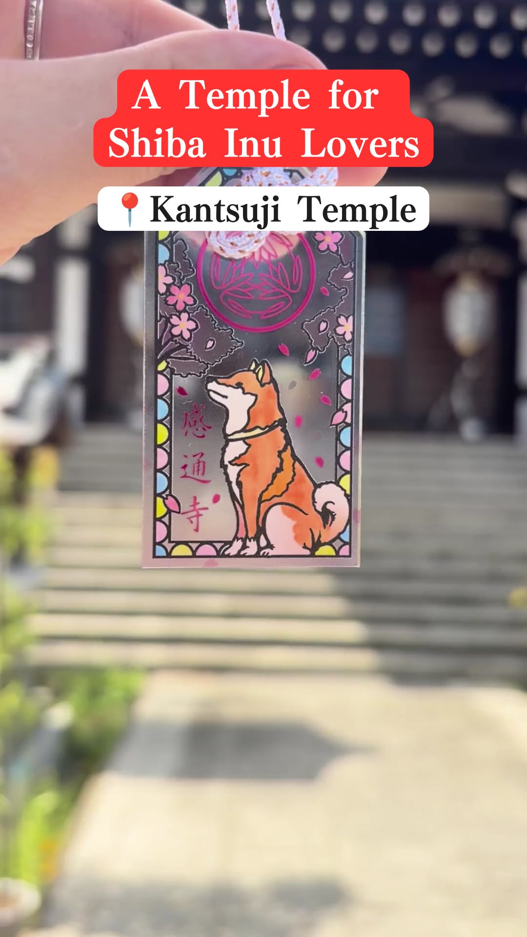 Kantsuji Temple: A Shiba Inu Lover's Paradise