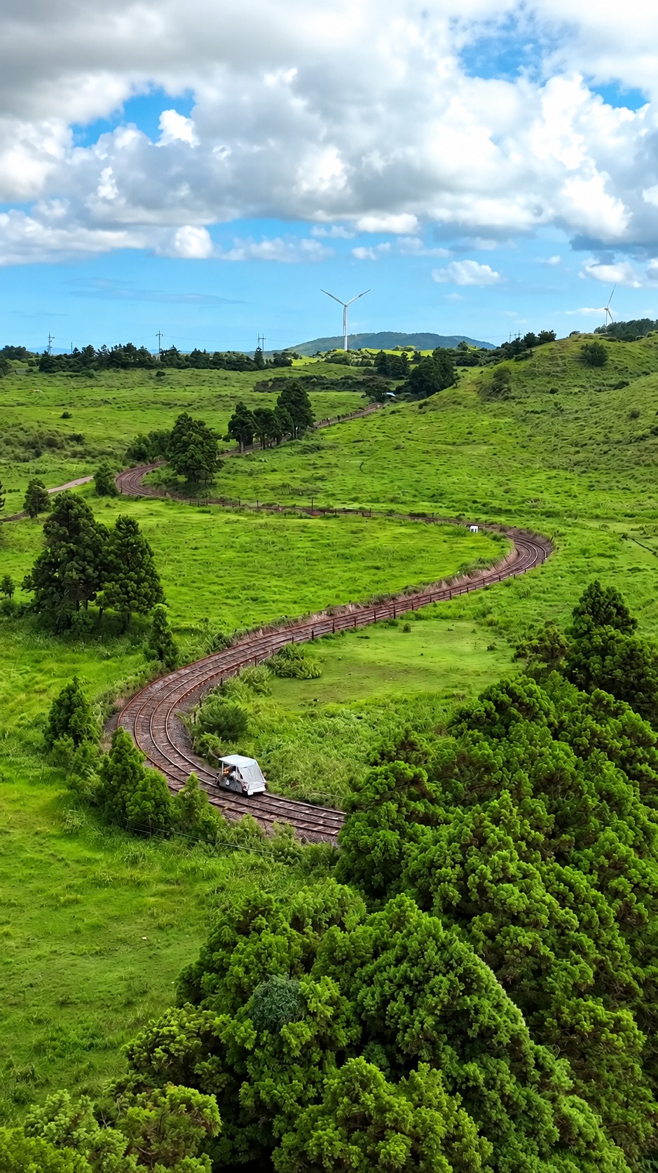 Jeju Rail Bike Offers Scenic Rides and Animal Encounters