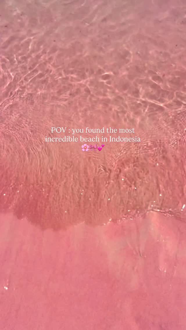 Pink Sand Beaches Of Komodo National Park