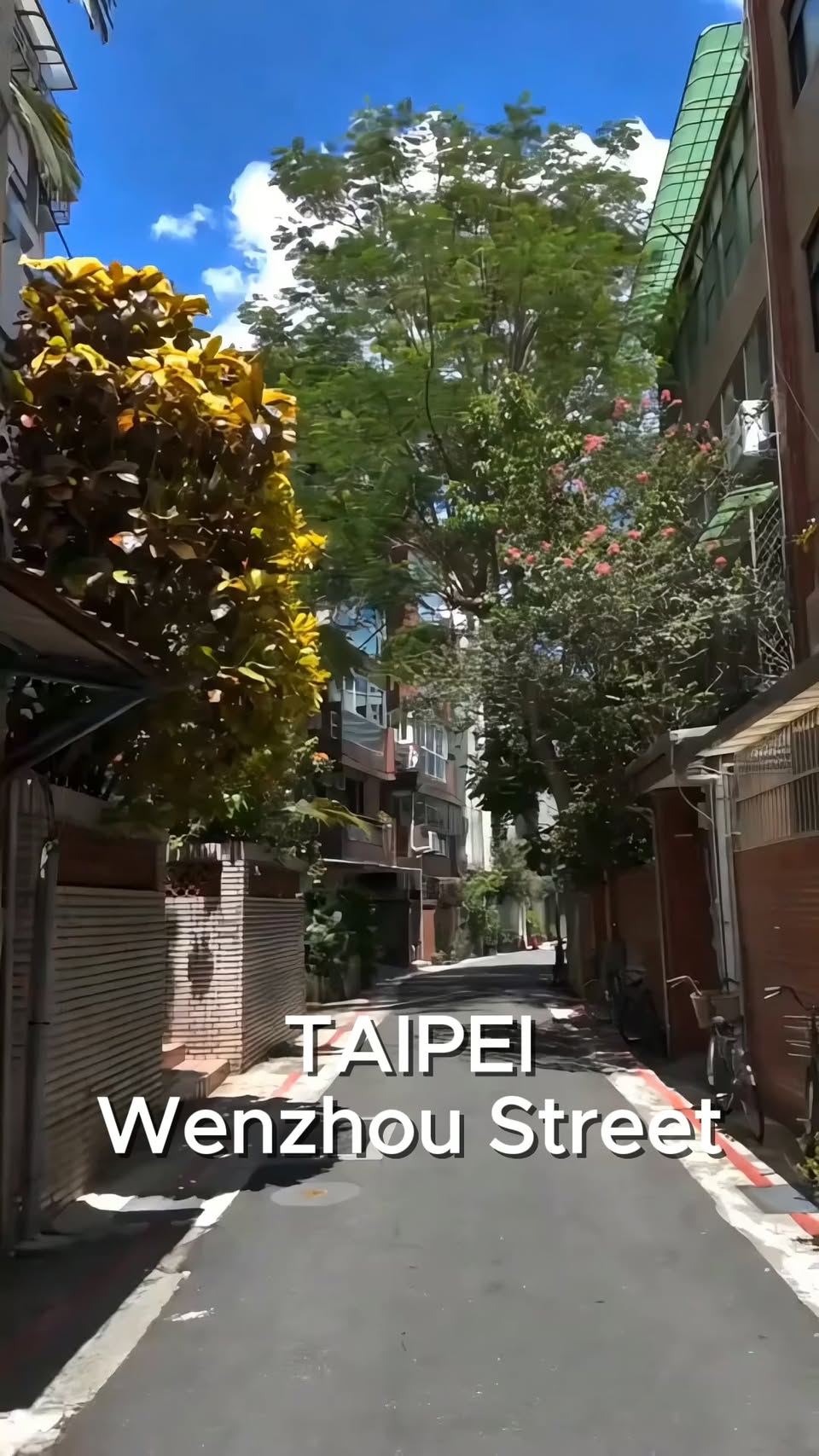 Wenzhou Street: Historic Homes and Local Eats