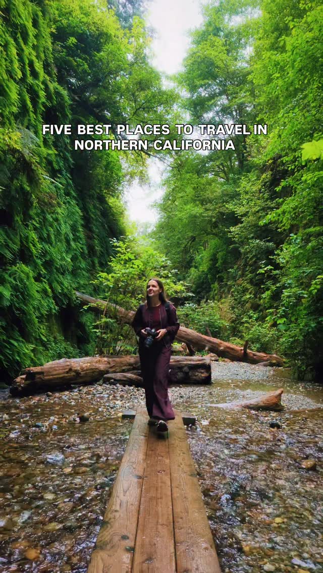 Northern California's Natural Wonders and Unique Landscapes