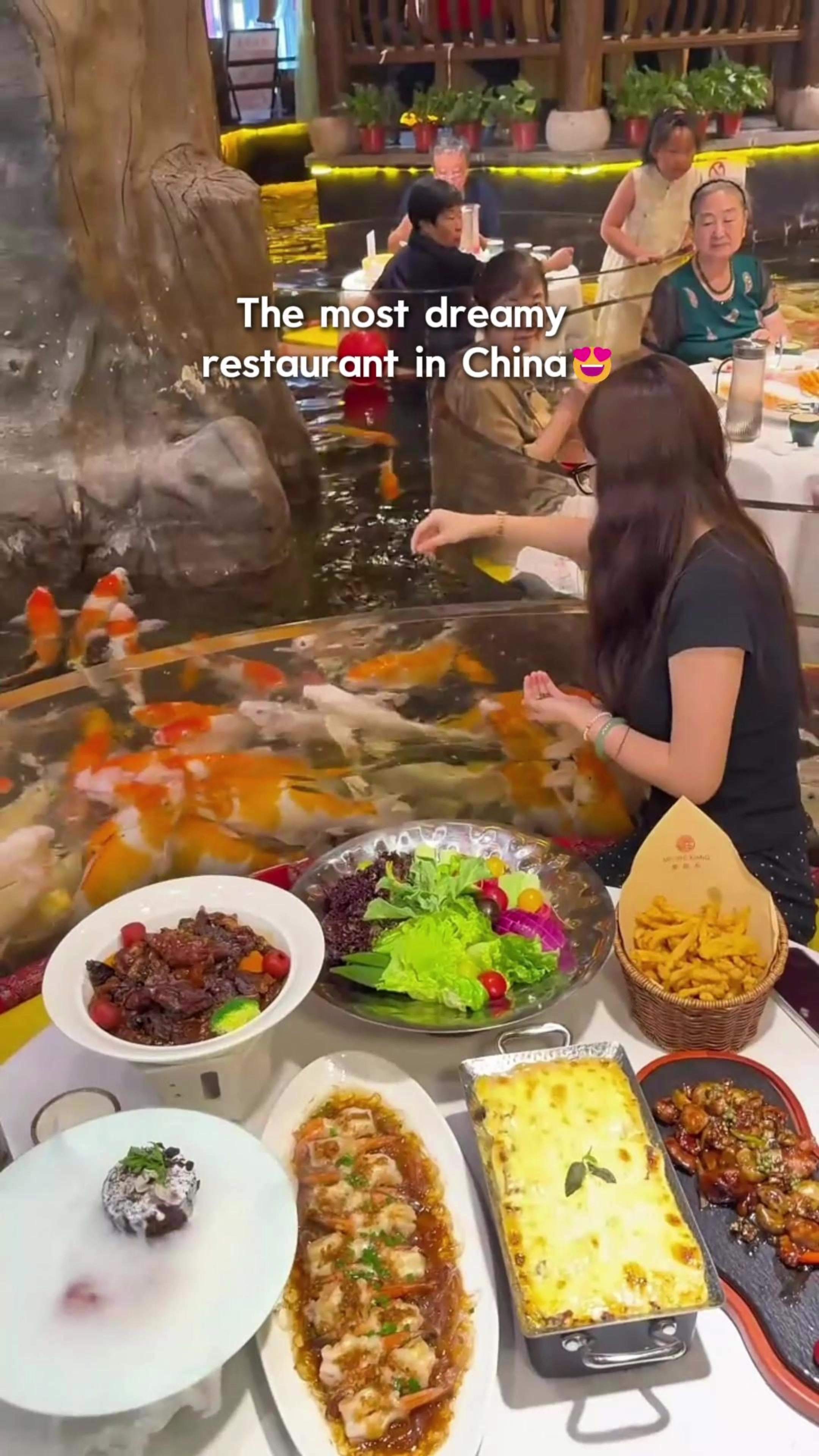 Baoding Water Restaurant Offers Unique Koi Fish Dining