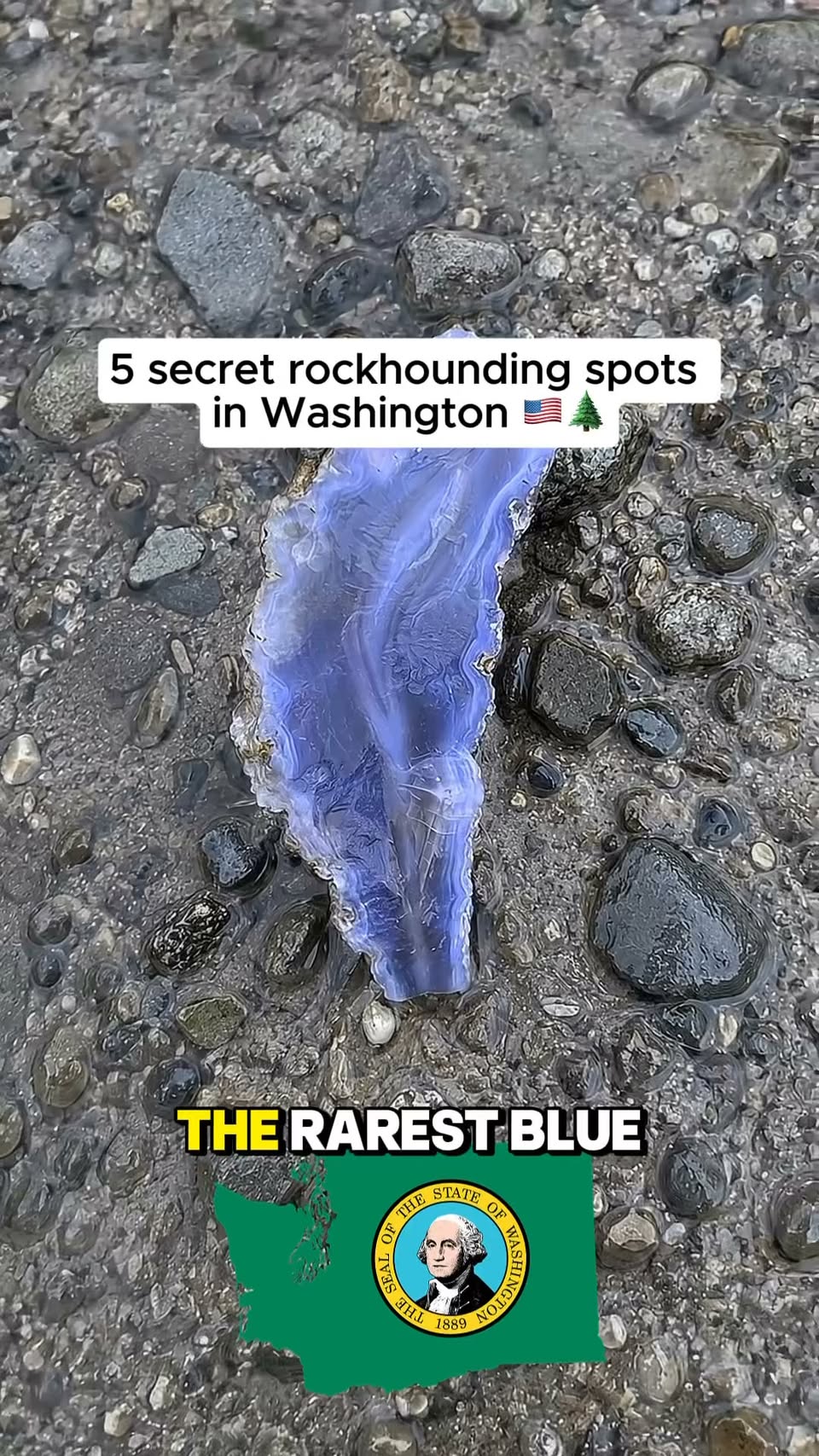 Washington's Secret Rockhounding Treasures