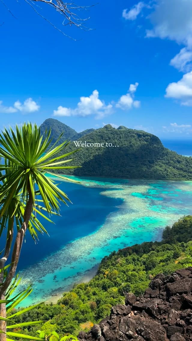 Sabah's Wildlife and Island Adventures