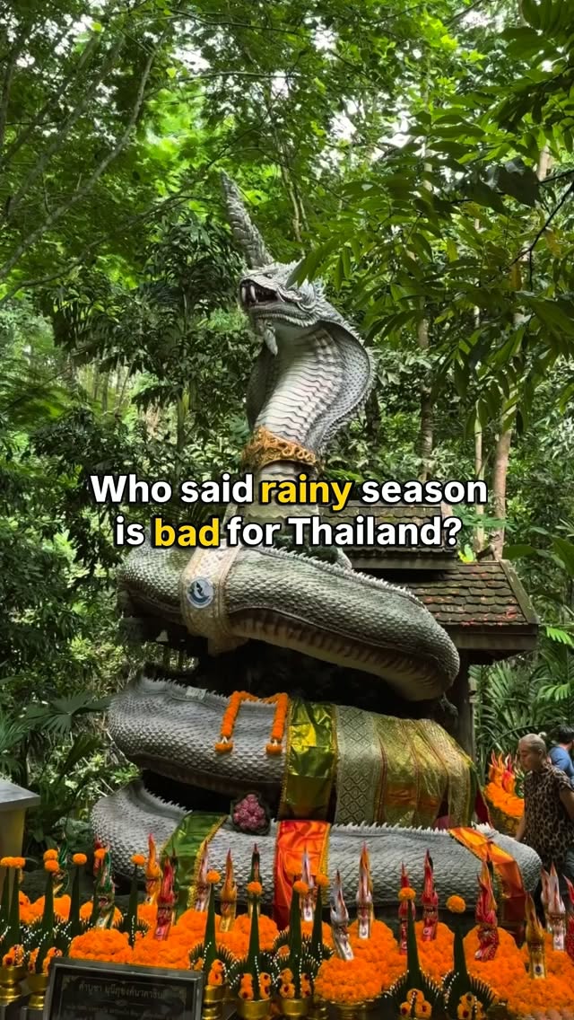 Chiang Mai Temples Shine in Rainy Season