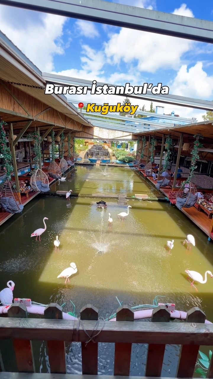 Kuğuköy: Istanbul Restaurant with Flamingos